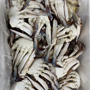 숫절단게